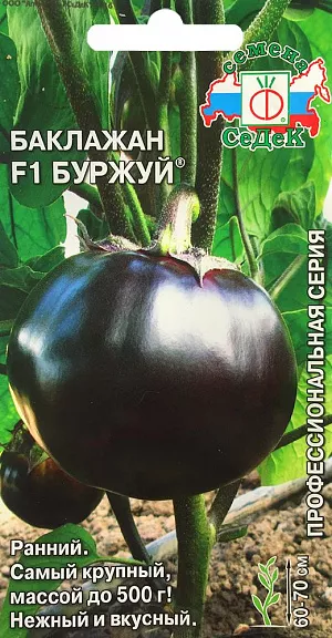 Семена Баклажан Буржуй F1