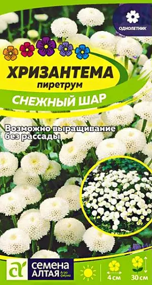 Семена Хризантема Снежный шар пиретрум из каталога Хризантема Семена Хризантема "Снежный шар" пиретрум.<br>
Многолетник, культивируемый на территории России как однолетник. Растение высотой около 30 см. Оригинальные соцветия-корзинки диаметром 3-4 см округлые махровые, с крупными краевыми цветками, напоминают снежную звезду. Благодаря экзотической внешности декоративна в любом цветочном оформлении. Используют при создании высоких бордюров, оформлении клумб, для срезки. Хорошо сочетается с гелиотропом, сальвией, бархатцами. Неприхотливое холодостойкое, светолюбивое и достаточно засухоустойчивое растение. Предпочитает солнечные участки на легких дренированных, умеренно плодородных известкованных почвах. При рассадном способе выращивания семена высевают в конце февраля - марте в рассадные ящики, глубина заделки семян 0,3 см. При температуре +18-25°С всходы появляются через 10-20 дней. После появления одного-двух настоящих листочков сеянцы пикируют в отдельные горшочки. На постоянное место рассаду высаживают, начиная с середины мая. Посадочный интервал – 35-40 см. Для усиления ветвления молодые растения прищипывают. Посев семян в открытый грунт (под пленку) проводят в апреле в компостную землю с добавлением торфа и песка. Семена присыпают листовым грунтом, слегка уплотняют сверху, а затем обильно поливают. При густом взращивании семян следует обязательно проредить всходы. Возможен подзимний посев семян в открытый грунт. Цветение обильное с июля по сентябрь.