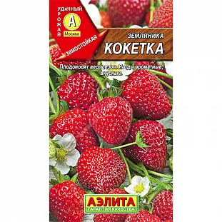 Семена Земляника (клубника) ремонтантная крупноплодная Кокетка Семена Земляника (клубника) ремонтантная крупноплодная Кокетка
