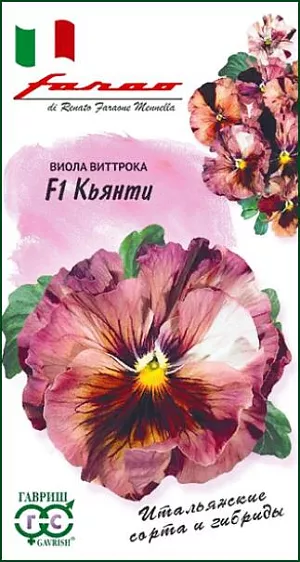<div>
 Семена виола Кьянти F1.
</div>
 <article>
<p>
 Невероятная виола! Красоту объемных полу-махровых  лососевых цветков подчеркивают полоски «горького и молочного шоколада» в дымчатой поволоке цвета красного вина. Прочные кусты обильно и продолжительно цветут на балконе или в саду с мая по сентябрь. Довольно длинные для виолы прочные стебли позволяют ее использовать для срезки. Гибрид F1 Кьянти — изысканное украшение, которое лучше помещать на клумбы или в цветочные композиции сдержанных  пастельных тонов, как заключают дорогую жемчужину в классическую оправу. Растение влаголюбивое, холодостойкое, хорошо растет на солнце и в полутени. 
</p>
<p>
 Для получения растений, цветущих в год посева, семена высевают на рассаду в феврале-марте. Всходы появляются через 5-7 дней. В открытый грунт рассаду высаживают в конце апреля-начале мая на расстоянии 20 см. Хорошо переносят пересадку в цветущем состоянии. При посеве в открытый грунт в июне-июле, цветение наступает во второй год. 
</p>
 </article>