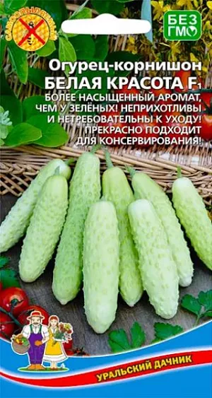 Семена Огурец Белая красота F1