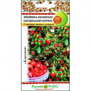 Семена Земляника (клубника) альпийская Сентябрьский сюрприз