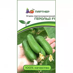 Семена Огурец Герольд F1