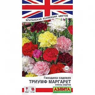 Гвоздика садовая Триумф Маргарет, смесь сортов Гвоздика садовая Триумф Маргарет, смесь сортов