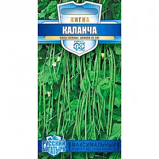 Семена Вигна Каланча