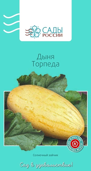 Дыня Торпеда