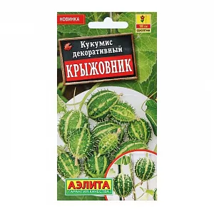 Кукумис декоративный Крыжовник из каталога Разные Семена Кукумис декоративный Крыжовник. Неприхотливая однолетняя лиана, известная у садоводов как декоративный огурец или кукумис. Быстро растет и развивается, образуя густой полог красивых изумрудных листьев. Высота гибких, прочных побегов достигает 1,5-1,8 м. В период пышного цветения наступает время максимальной декоративности растения. Оно применяется и для вертикального озеленения, и в качестве почвопокровной культуры. После цветения образуются необычные, полосатые плоды размером около 3 см, покрытые редкими короткими шипами. Сорт нельзя использовать в пищу. Растение применяется для озеленения садов и балконов, а плоды – для декоративного оформления.<br>
Возможно вырастить 20-25-дневную рассаду или использовать для посева пророщенные семена. Посевы (посадки) размещают на плодородных, рыхлых почвах с нейтральной кислотностью. Рекомендуются регулярные поливы теплой водой.<br>
<br>
<br>
<br>
<br>