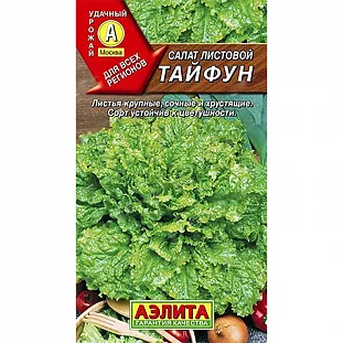 Салат Тайфун листовой