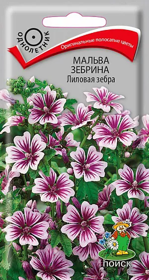 Семена Мальва Зебрина Лиловая зебра.
Оригинальная мальва с полосатыми цветами. Побеги прямостоячие, высотой около 100 см. Листья округлые, на длинных черешках. Цветы около 4 см диаметром лилово-розовые с контрастными насыщенно-сиреневыми штрихами. Используют для групп на фоне газона, миксбордеров, декорирования стен и заборов. 
Агротехника. Растение светолюбивое, к почвам не. требовательно, но лучше растет и продолжительнее цветет на плодородных рыхлых почвах. При выращивании рассады посевы проводят в феврале-марте. Можно высевать семена в открытый грунт в конце апреля. Семена заделывают на глубину 0,5-1 см. При температуре почвы +22-25°С всходы появляются на 10-14 день. Растение может перезимовать с легким укрытием.