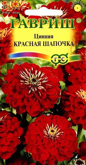 Семена Цинния Красная Шапочка из каталога Цинния Семена Цинния Красная Шапочка.
Однолетник. Растение высотой 25-35 см.
Соцветия — корзинки 4-6 см в диаметре, красного цвета.
Размножают семенами через рассаду, так как цинния чувствительна даже к самым легким заморозкам.
Перед посевом семена желательно замочить. Посев в апреле, на глубину 1 см.
Высадка в цветник производится после окончания весенних заморозков, выдерживая расстояние между растениями 20-25 см.
Если рассада вытянулась, ее можно заглубить, так как у цинний быстро образуются придаточные корни.
На юге циннию размножают прямым посевом в грунт в апреле-мае с последующим прореживанием.
Начало цветения через 2,5 месяца после посева. Цветет очень обильно и продолжительно с середины июня до заморозков.
Каждый цветок держится на растении долго, до 35 дней. Используют в клумбах, рабатках, больших массивах и для срезки.
Особенно хорошо циннии смотрятся группой. Цветы долго стоят в воде, сохраняя яркость окраски. Их срезают, когда соцветие раскроется на 3/4, концы стеблей обжигают или обрезают в горячей воде. Подвядшему букету цинний можно вернуть свежесть, поместив его в горячую воду и предварительно обновив нижний косой срез.