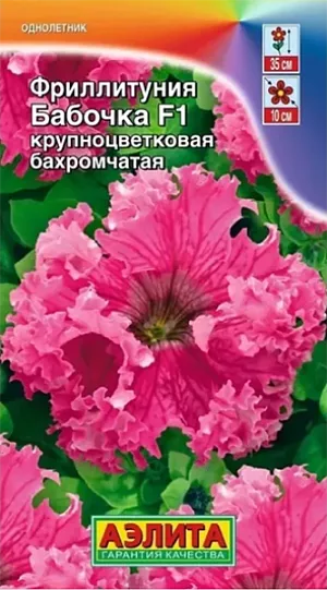 Фриллитуния Бабочка F1 крупноцветковая бахромчатая из каталога Петуния Семена Фриллитуния Бабочка F1.<br>
Эффектная петуния с уникальным цветком O10 см. Украшенный густыми «рюшами» по краю венчика, цветок выглядит исключительно нарядно. Компактные, хорошо разветвленные кусты высотой 35 см выравнены по габитусу, в массовых посадках выглядят совершенно однородными. Период от посева до цветения короткий, растения зацветают на стадии рассады. Растения достаточно устойчивы к погодным стрессам. Гибрид отлично удается в контейнерном декоре сада и балкона. <br>
Агротехника. Посев семян на рассаду. Семена в гранулах! Гранулы располагают на поверхности почвы, не заделывая их, хорошо увлажняют из распылителя. При попадании влаги на гранулу оболочка должна раствориться. Посевы накрывают стеклом для сохранения постоянной влажности до полных всходов. Февральским посевам требуется дополнительная подсветка. Сеянцы пикируют в фазе одного-двух настоящих листьев. В фазе пяти-шести листьев проводят формирующую прищипку. Рассаду высаживают в открытый грунт, когда минует угроза заморозков.
