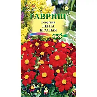 Георгина Лента красная