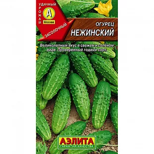 Семена Огурец Нежинский