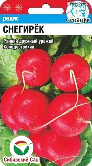 Семена Редис Снегирек Семена Редис Снегирек