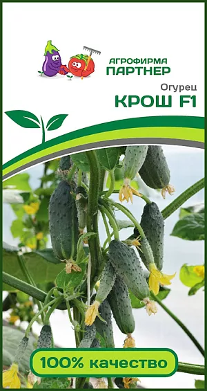 Семена Огурец Крош F1