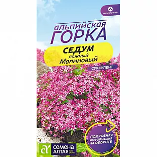 Седум Малиновый Седум Малиновый