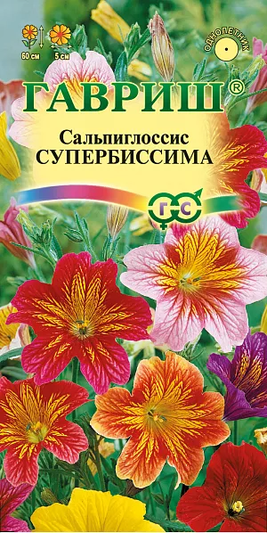 Семена Сальпиглоссис Супербиссима.
Однолетнее изящное растение из семейства Пасленовые высотой 60 см. Цветение обильное с июня по сентябрь. Цветки воронковидные, разнообразной окраски (от белой до темно-фиолетовой) с бархатистыми лепестками, 5 см в диаметре. Выращивают чаще всего прямым посевом в грунт во второй половине апреля, расстояние между взрослыми растениями должно составлять 20-30 см. Светолюбив и теплолюбив, предпочитает защищенные от ветра участки с плодородными водопроницаемыми почвами. Плохо переносит пересадку и переувлажнение. Используют для посадки в группах, рабатках, на клумбах, а также для получения срезки и как горшечное растение.

