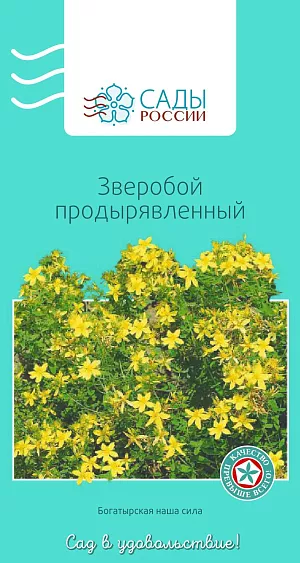 Зверобой Продырявленный 0,1гр