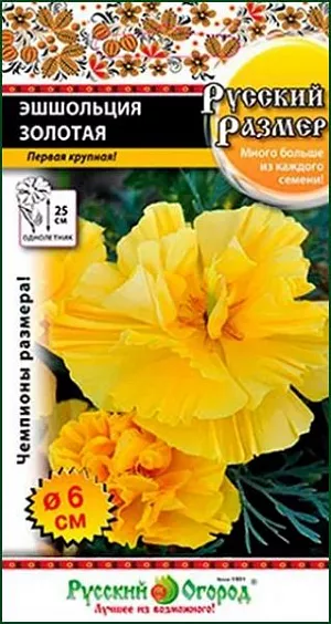 Семена Эшшольция Русский Размер Золотая – 100% махровый сорт с потрясающими крупными жёлтыми соцветиями! Нежные лепестки гофрированы, поэтому в результате их общий внешний вид смотрится сверх пышно и роскошно. Мы любим эшшольцию за её неприхотливость и простую систему выращивания. Ведь она развивается, минуя рассаду. 