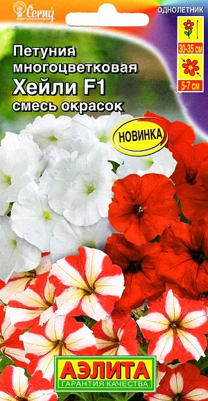 Семена Петуния многоцветковая ХейлиF1. Гибриды Петунии данной смеси устойчивы к неблагоприятным погодным условиям, отличаются обильным цветением и быстро восстанавливаются даже после сильного дождя. Растения компактные, высотой 30-35 см., сильноветвящиеся (прищипка не нужна), усыпаны большим количеством цветков. Наилучшим образом подходят для украшения клумб, рабаток, бордюров, также используют для выращивания в вазонах, балконных и оконных ящиках.