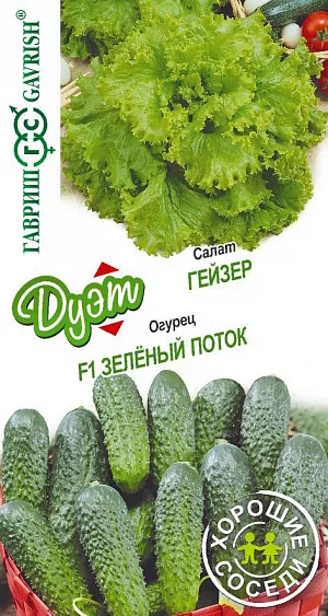 Семена Салат Гейзер + Огурец Зеленый поток серия Дуэт
