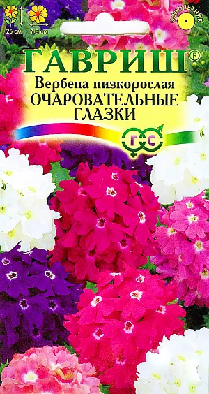 Семена Вербена низкорослая Очаровательные Глазки.
Растение высотой 25 см, культивируется, как однолетник (семейство Вербеновые). Цветет с июля по сентябрь. 
Цветки разнообразной окраски, собраны в соцветия диаметром 7-8 см, имеют приятный запах. 
Светолюбива и холодостойка, предпочитает рыхлые плодородные почвы. Выращивают рассадным способом. 
Семена высевают в конце марта - начале апреля. Всходы появляются через 10-20 дней. 
Рассаду высаживают в открытый грунт в середине мая на расстоянии 25 см. 
Используют для посадки на клумбах, рабатках, в группах, невысокие формы особенно хороши в бордюрах.