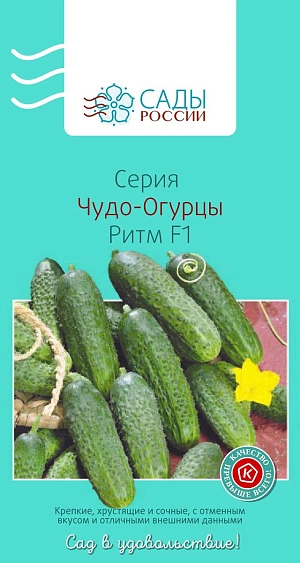 Семена Огурец Ритм F1