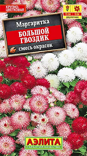Семена Маргаритка Большой гвоздик смесь окрасок.
Густомахровая маргаритка с игольчатыми, нарядными корзинками, достигающими 6 см в диаметре – настоящая жемчужина селекции. Растения с компактной розеткой, выравненные, с многочисленными и прочными цветоносами, зацветают раньше обычных сортов. Цветение обильное и продолжительное (до 3-х месяцев). Она уместна и в малых, и в больших садах, с помощью маргаритки можно создать переносной садик для любого уголка, балконов, лоджий. Очаровательно смотрится в обрамлении водоема.
Агротехника. Посев семян в июне на постоянное место в открытый грунт или на рассаду. Всходы появляются через 7-10 дней. Рассаду нужно высадить на постоянное место не позже начала августа. Зацветают растения на второй год в мае.