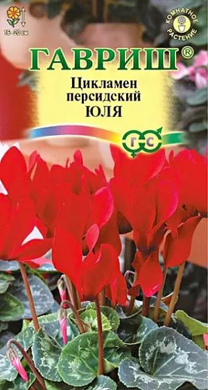 Семена Цикламен Юля.<br>
 <br>
  Многолетнее клубневое растение семейства Первоцветные. Цветки очень ароматные, цветонос достигает длины 15-20 см. Цветет с поздней осени до конца апреля, летом находится в состоянии покоя. Оптимальный срок посева — конец августа. Семена цикламена туговсхожие, появление всходов приходится ждать от 1- до 3-х месяцев. Наилучший результат предпосевной обработки семян дает контрастная термическая обработка: семена помещают на 2 сек. в горячую (+90…95 С) воду, затем на 2 сек. в холодную, операцию повторяют дважды. Посев производят в горшки с листовой и торфяной землей (1:1). Сверху семена присыпают слоем земли 0,5-1 см., обильно поливают, накрывают темной пленкой. При t +20°C всходы появляются через 30-40 дней. После появления всходов притенение снимают, температуру снижают до +15…17 °C. Когда образуются маленькие клубеньки с двумя листочками, пикируют в ящики со смесью из листовой, торфяной земли и песка (2:1:0,5). При пересадках у молодых растений верх клубенька должен находиться у самой поверхности почвы (не глубже 0,5 см.). У взрослых растений верх клубня обычно открыт. В период покоя сбрасывает листья.<br>
 <br>
  Выращивают на северных и восточных окнах, на южном притеняют от прямых солнечных лучей. Зимой содержат на светлом месте при температуре не выше +8…100С. Летом необходимо выполнять приемы по поддержке роста растений: поливать исключительно через поддон, опрыскивать водой комнатной температуры, удобрять. Удобряют не более 2-3 раз за лето, преимущественно азотно-калийными удобрениями.<br>