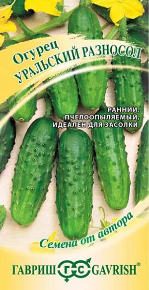 Семена Огурец Уральский разносол