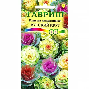 Капуста декоративная Русский круг Капуста декоративная Русский круг