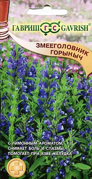Змееголовник Горыныч