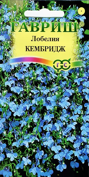 Семена Лобелия Кембридж из каталога Лобелия Семена Лобелия Кембридж.
Красивое травянистое растение, семейства Лобелиевые, сплошь усыпанное голубыми цветками диаметром 1-2 см.
Листья мелкие, темно-зеленые с бронзовым оттенком. Цветет с июня по сентябрь.
Растение светолюбивое, хорошо растет на умеренно влажных суглинистых и супесчаных почвах.
Размножается семенами, посев которых производят в феврале в ящики. Семена слегка вдавливают в почву, землей не присылают.
Посадочную емкость накрывают стеклом и ставят в освещенное теплое место. При температуре почвы +18 С всходы появляются на 7-14 день.
Всходы очень мелкие, развиваются очень медленно. Пикируют дважды в легкую землю.
Рассаду высаживают после окончания весенних заморозков, с расстоянием между растениями 10-15 см.
Для лучшего кущения верхушки молодых растений прищипывают. Используют, как декоративно-лиственное и красивоцветущее растение в цветниках, рабатках и группах, в бордюрах и ковровых композициях.