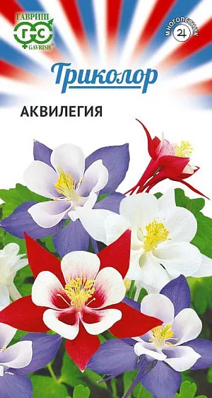 Аквилегия Триколор из каталога Аквилегия Многолетняя неприхотливая смесь в сине-бело-красных оттенках российского флага. Травянистое растение семейства Лютиковые высотой до 80 см. Образует полураскидистые кусты 40-50 см в диаметре. Его дваждытройчатые листья декоративны до осени. Цветки одиночные, с прямым шпорцем, диаметром до 10 см, на длинных цветоносах. Растение морозоустойчивое, предпочитает умеренно влажные места, рыхлые перегнойные почвы, переносит полутень. Для получения дружных всходов семена необходимо стратифицировать при температуре +10°С. Семена высевают в марте, не заделывая, в ящики с влажным субстратом и ставят на свет. Всходы появляются через 2-3 недели. Цветение начинается в первой половине лета. Взрослые растения плохо переносят пересадку. Используют в групповых посадках среди деревьев и кустарников, в миксбордерах, на газонах недалеко от дорожек.
