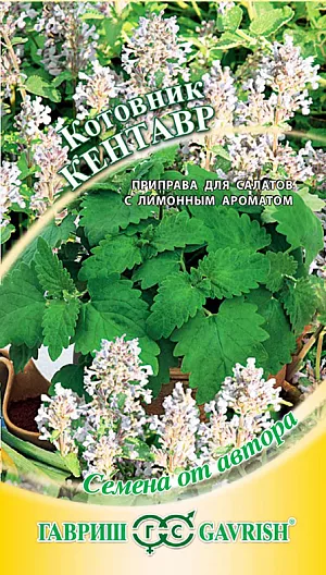 Семена Котовник Кентавр Семена Котовник Кентавр