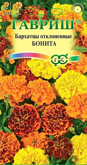 Семена Бархатцы Бонита отклоненные.
Жизнерадостная смесь с махровыми яркими соцветиями, диаметром 5 см. Идеально подойдет для оформления бордюров, рабаток, вазонов и балконных ящиков. 
Растения образуют компактные, густоветвистые кустики, высотой 30 см. Цветут с июня до заморозков. 
Бархатцы светолюбивы и теплолюбивы, заморозков не переносят, к почвам нетребовательны, но предпочитают плодородные легкие почвы. 
Посев на рассаду проводят во второй половине марте-начале апреля. 
Всходы появляются через 4-8 дней после посева, сеянцы пикируют в фазе 2-го настоящего листа.
Рассаду высаживают в начале июня с расстоянием между растениями 30-35 см. Посев в открытый грунт проводят в мае на глубину 1,5-2 см.
