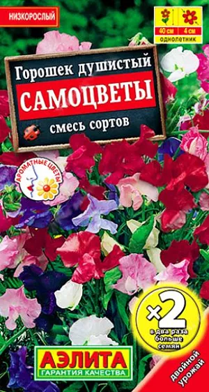 Семена Душистый горошек Самоцветы смесь. Смесь невысокого, компактного душистого горошка. Растения кустовые, высотой 30-40 см, выращиваются без опор. Цветки  диаметром 3-4 см. собраны в изящные кисти по 4-6 штук. Растения холодостойкие. Хорошо растут в контейнерной культуре. Прекрасный аромат и широкая палитра расцветок смеси оживит ваш балкон, террасу, садовые цветники.<br>
 Посев семян гнездами по 2-3 шт. Семена предварительно замачивают в воде на сутки. Сеянцы прищипывают над второй-третьей парой листьев. Чтобы ускорить цветение, можно посеять семена на рассаду в отдельные горшочки в первой декаде апреля. В открытый грунт закаленную рассаду высаживают в мае, не нарушая кома земли.<br>
