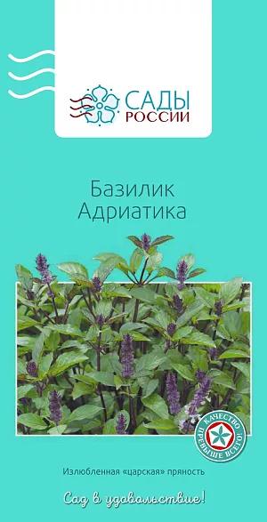 Базилик Адриатика 0,5гр
