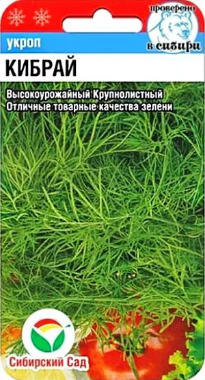 Семена Укроп Кибрай Семена Укроп Кибрай