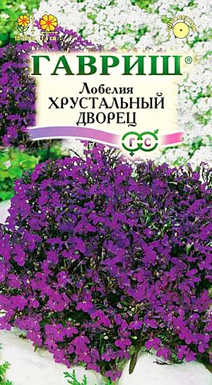 Семена Лобелия Хрустальный дворец из каталога Лобелия Семена Лобелия Хрустальный дворец.
Многолетнее травянистое растение, используемое как однолетнее. Стебли тонкие, сильноветвящиеся от основания, густо облиственные.
Кустики компактные, шаровидные, 10 см высотой. Листья необычного бронзового цвета, расположены в очередном порядке, мелкие, ланцетные, цельные.
Цветки до 2 см в диаметре, двугубые, на коротких цветоножках, по одному в пазухах листьев, темно-синего цвета.
Продолжительность и обильность цветения увеличиваются при своевременном удалении отцветших стеблей.
Размножают семенами, посев которых производят в феврале - апреле.
Для равномерности посевов семена смешивают с сухим песком в соотношении 1:50 и не заделывают.
Великолепно подходят для оформления клумб, контейнеров и краев цветников и бордюров.
Их также можно размещать в центре висячей корзины.