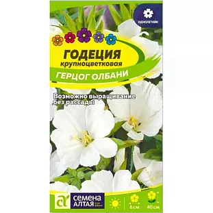 Годеция Герцог Олбани