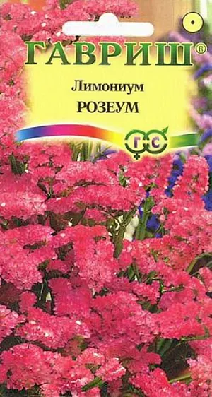 Семена Лимониум Розеум.
Травянистое однолетнее растение семейства Свинчатковые. Стебли высотой до 60 см, прямостоячие, в верхней части ветвистые.
Цветки до 1 см в диаметре, карминно-розовые, собраны в соцветия. Цветение обильное с июля до заморозков. 
Посев на рассаду в начале апреля, прямой посев в открытый грунт в мае. Всходы появляются через 10-12 дней. 
Пикировать сеянцы лучше в горшочки, так как рассада с открытой корневой системой приживается плохо. 
На постоянное место высаживают в мае, на расстоянии 20-25 см друг от друга. 
Лимониум можно располагать небольшими группами в миксбордерах, рокариях. 
Для сушки цветоносы срезают во время полного цветения, но до того момента, как начнут блекнуть нижние цветки.
Идеален для создания зимних цветочных композиций и букетов.