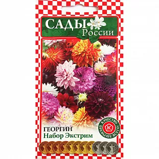 Георгина Набор Экстрим