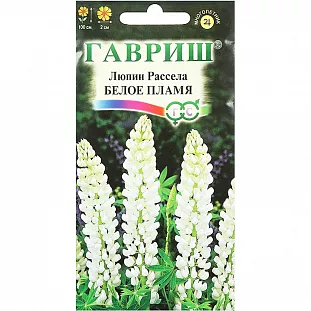Семена Люпин Рассела Белое пламя Семена Люпин Рассела Белое пламя