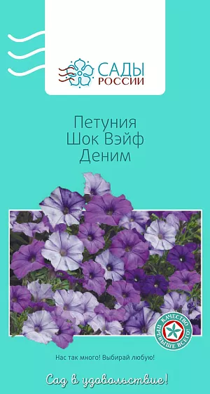 Петуния Шок Вэйф Деним 5шт из каталога Петуния Петуния Шок Вэйф Деним
Многоцветковая петуния. Мелкие цветки, 4–5 см в диаметре, появляются раньше, чем у остальных петуний. Растения ампельные, сильноветвящиеся, похожие на шар. Хорошо переносят сырую дождливую погоду. Простые в выращивании, замечательно растут в небольших контейнерах и кашпо.