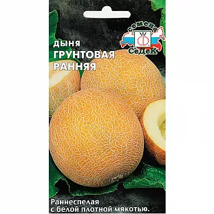 Семена Дыня Грунтовая ранняя