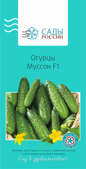 Семена Огурец Муссон Семена Огурец Муссон