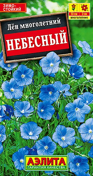 Семена Лён Небесный.
Неприхотливое многолетнее растение с множеством небесно-голубых цветков. Образует изящные кустики высотой 40-50 см с тонкими, одревесневающими побегами. Цветки диаметром до 2 см собраны в много-численные рыхлые кистевидные соцветия. Цветение обильное в течение всего лета. Растения зимостойкие, предпочитают солнечное местоположение. Используют для групповых посадок в рабатках, альпинариях, на клумбах и в сборных цветниках. 
Агротехника. Посев cемян в апреле-мае в открытый грунт. Спустя 2-3 недели после всходов растения прореживают. Цветение на второй год, с конца июня по август. Осенью отцветшие побеги срезают, укрытия на зиму не требуется.
