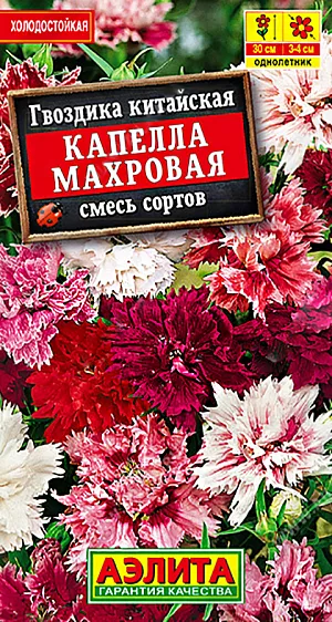 <div>
 Семена Гвоздика Капелла махровая китайская, смесь сортов.
</div>
 Очаровательная обильноцветущая гвоздика с махровыми цветками диаметром 3-4 см. Образует компактные кустики с многочисленными цветоносами длиной 25-30 см. Растения неприхотливые, холодостойкие, засухоустойчивые, хорошо развиваются на открытом солнце и в легкой полутени. Используются для выращивания на альпийских горках, на переднем плане цветников и бордюров. Подходят для контейнерной культуры и на срезку.<br>
 <br>
  В фазе одной пары настоящих листьев сеянцы пикируют. При развитии трех пар листьев проводят формирующую прищипку. Гвоздика предпочитает дренированные, некислые почвы легкого механического состава. В южных регионах возможен прямой посев семян в открытый грунт.<br>
