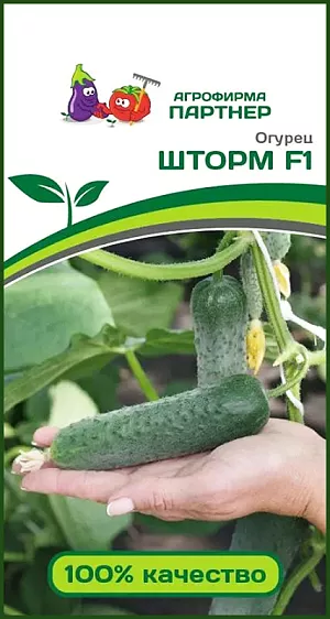 Семена Огурец Шторм F1